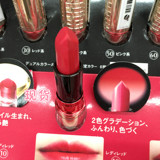 正品日本代购 Shiseido/资生堂 10周年限定 心机双色唇膏 6色选