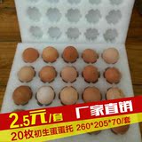 20枚、40枚初生蛋蛋托配纸箱整套 防震耐用蛋托包装批发