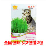 包邮纯天然无公害猫草种子 营养猫儿草 去毛球调理肠胃猫薄荷零食