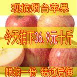 【馋嘴仙子】新鲜苹果水果山东烟台栖霞红富士10斤包邮批发吃的