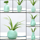 陶瓷艺术小花瓶花器简约现代家居摆件绿萝创意水培植物盆栽花插