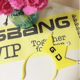BIGBANG演唱会官方应援皇冠发箍发光灯