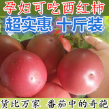 1件包邮云南新鲜西红柿 有机番茄 无公害绿色蔬菜 生鲜农家十斤装