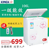 XINGX/星星 BD/BC-106EC小冰柜家用节能小型保鲜冷柜迷你冷藏冷冻