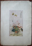 民国印刷品珂罗版花鸟册页一尺中国画古董书法收藏艺术作品字画