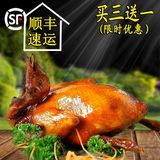 广东深圳特产 光明红烧乳鸽  新鲜土鸽子  新鲜现做