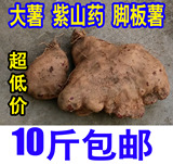 10斤59.8元包邮新鲜紫大薯紫山药紫淮山脚板薯农家自种有机农产品
