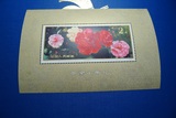 T37M 云南山茶花（小型张）邮票 邮品 收藏 原胶（有污点）