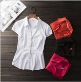 夏季女士短袖衬衣修身韩版外贸尾单女式棉质衬衫出口原单夏款开衫