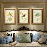 美式乡村田园花卉小鸟装饰画现代简欧客厅卧室有框画壁画挂画