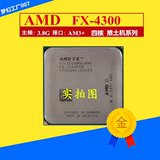 AMD FX-4300 散片 四核 CPU AM3+ 推土机 3.8G 保一年 95W3