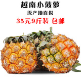 新鲜水果进口越南小菠萝胜泰国小菠萝香水小菠萝凤梨9斤35元包邮