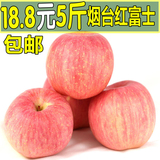 【亏本冲量】山东正宗烟台红富士栖霞苹果新鲜水果园直发5斤包邮