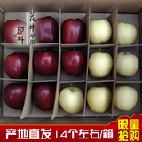 新鲜水果甘肃天水花牛苹果蛇果宝宝吃的粉面苹果阿克苏红富士5斤