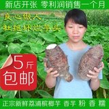广西特产美食荔浦芋头新鲜槟榔芋农家有机蔬菜香芋艿芋10斤包邮