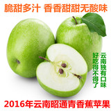 正宗云南昭通高原原生态野生苹果有机新鲜水果青香蕉10斤包邮