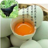 农家正宗散养五黑鸡新鲜土鸡蛋纯天然绿壳蛋 40枚鸡蛋礼盒装包邮