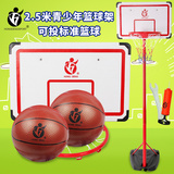 2.5米篮球架可投标准篮球 室内户外儿童篮球架可移动成人投篮框架