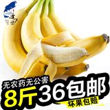 香蕉新鲜水果无催熟绿色生香蕉有机香蕉广西果园直发包邮非海南香