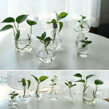 桌摆透明玻璃水培容器窗台桌面装饰插花瓶创意室内园艺玻璃花瓶