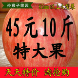 孙猴子山东烟台苹果现货水果苹果栖霞红富士苹果特产10斤包邮脆甜
