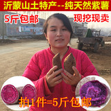 沂蒙农家自种新鲜紫薯 紫心地瓜紫番薯 红薯山芋有机紫薯 5斤包邮