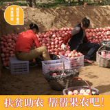 新鲜水果正宗陕西洛川红富士苹果农家有机冰糖心富士5斤礼盒包邮
