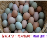 40枚正宗农家树林散养乌鸡蛋.绿壳土鸡蛋草鸡蛋柴鸡蛋纯粮喂养