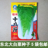 东北蔬菜种子大白菜籽5袋包邮 大白菜种子锦州18斤秋白菜种子10g
