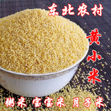 黄小米 东北农家小米新米 黄小米孕妇宝宝专用小黄米月子米500克