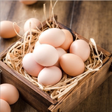 东北特产 黑山县农家散养土鸡蛋30枚 新鲜初生蛋月子蛋