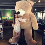 超大正版美国大熊毛绒玩具抱抱熊泰迪熊公仔熊猫生日礼物送女生