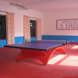 室内外乒乓球台大彩虹乒乓球台台球厅球台比赛用乒乓球台