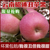 土特产昭通苹果野生丑苹果云南邵通特产新鲜脆甜水果冰糖心5斤