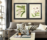 美克家进口原版装饰画 美式风格挂画 客厅卧室玄关壁画植物花卉