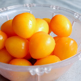 黄圣女果 小西红柿番茄 新鲜水果蔬果千禧圣女果樱桃小西红柿
