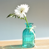 家居装饰彩色玻璃小花瓶多色台面花插摆件 透明窗台餐桌迷你花器