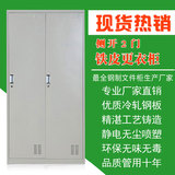 广州办公家具两门更衣钢制柜带锁员工储物柜铁皮多功能员工更衣柜