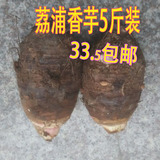 正宗广西荔浦芋头 5斤包邮新鲜槟榔香芋毛芋农家自种生鲜蔬菜