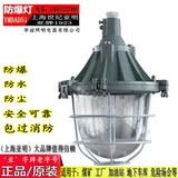 上海世纪亚明YMBAD51化工钢铁厂用防暴天棚煤矿地下隧道防水灯具
