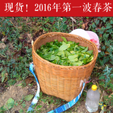 【景迈头春 现货】2016年头春普洱茶生茶散茶 现货发售