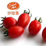 沙拉DIY 新鲜蔬菜樱桃番茄圣女果西红柿有机无公害京津冀3斤包邮