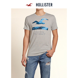Hollister标识图案 T 恤 男 113767专柜正品代购海鸥短袖背心上衣