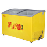 XINGX/星星 SD/SC-326SY 冰柜展示柜冷藏冷冻 商用卧式单温圆弧门