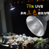 UVB多肉植物专用补光灯生长灯紫外线生长灯全光谱防徒长上色包邮