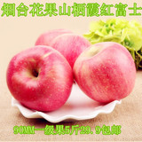 烟台花果山农产品特产苹果5斤包邮水果批发90mm 新鲜有机红富士