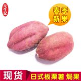 305焗番薯 日式板栗香薯 烤红薯专用 新鲜地瓜 包邮5斤
