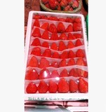 新鲜有机草莓苗奶油甜宝草莓苗特产可观赏盆景好吃两不误