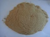 厂家直销 杨木粉 造纸用木粉 制香木粉 多种用途木粉一公斤