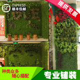 仿真植物墙人工草坪地毯假草皮塑料绿色装饰绿植墙仿真植物背景墙